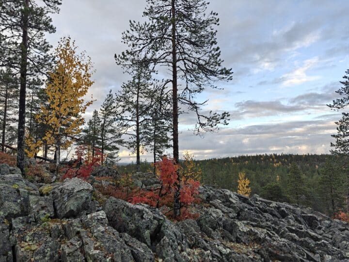 Kolmen kunnan rajapyykillä Nuolivaaralla